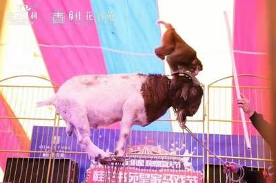 產品信息